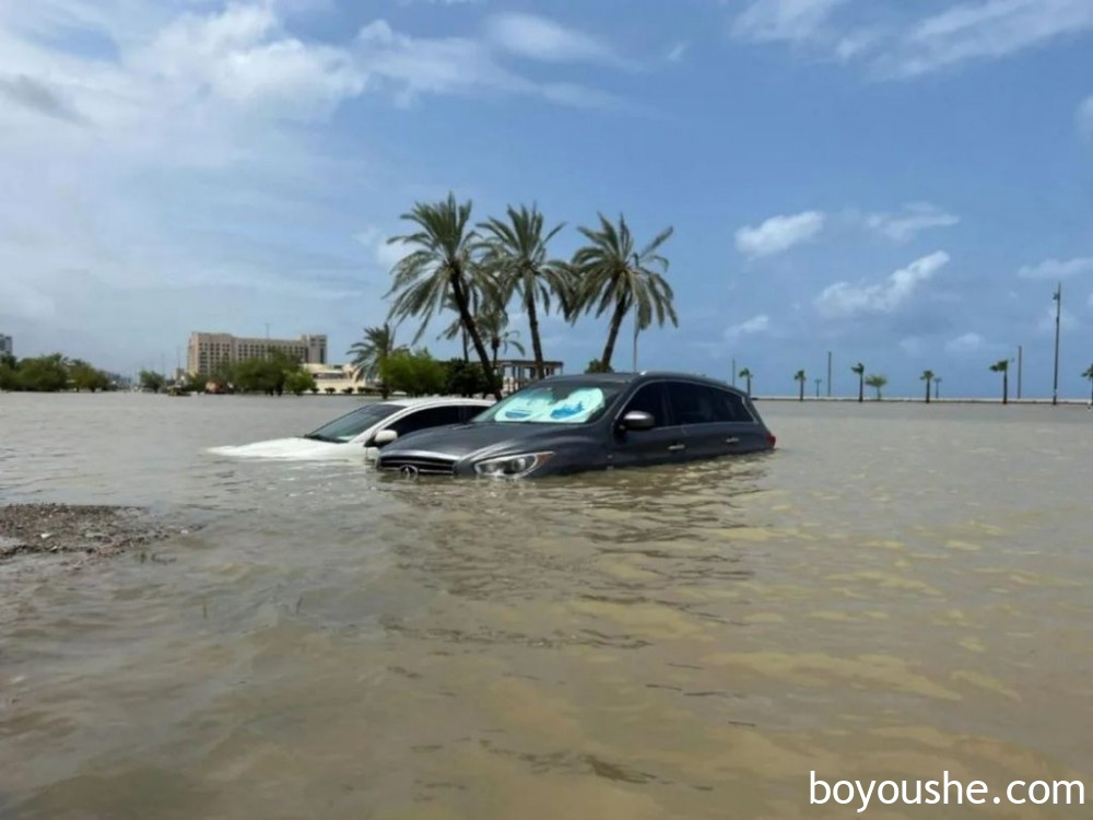 阿联酋暴雨后续：街道被淹，汽车遭殃，军队上街营救居民